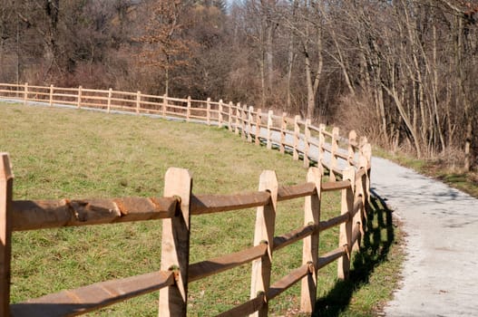 Trail in Ohio
