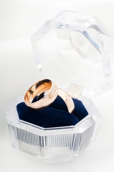 two golden rings in open box close up shoot