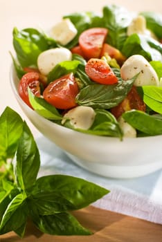 fresh salad with basil mozzarella and tomato close up