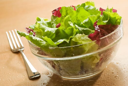 fresh green salad in a bowl close up