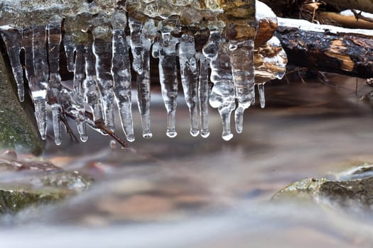 in winter