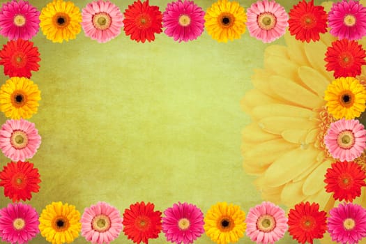 Vintage Gerbera Flower Background