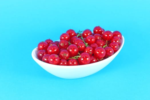 Red currant in white bowl isolated on blue background