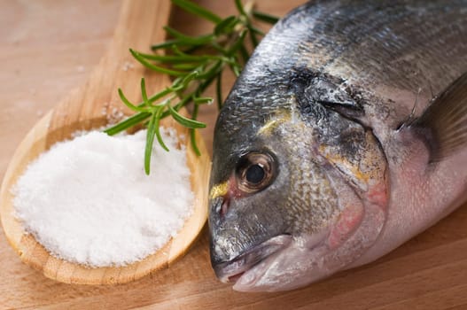 Raw gilthead fish on wooden board close up shoot