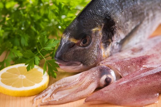 Raw gilthead and squid close up shoot