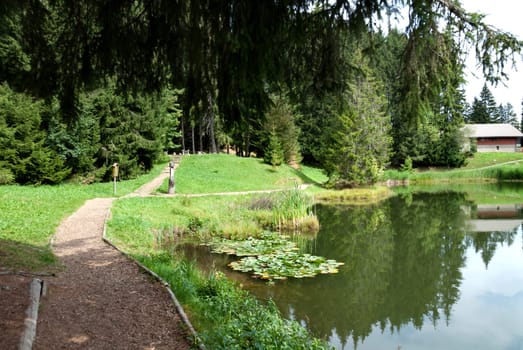 insight and reflections on Lac Des Joncs in Switzerland