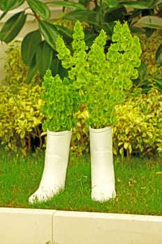 White rubber boots full of plants, garden decoration