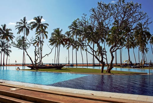 Holidays in Asia - Swimming pool and palm trees