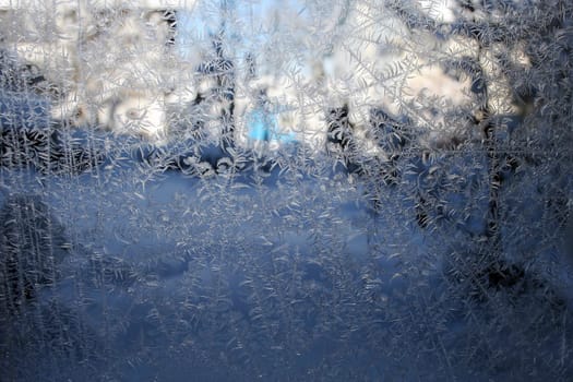 Ice Flowers at the Window