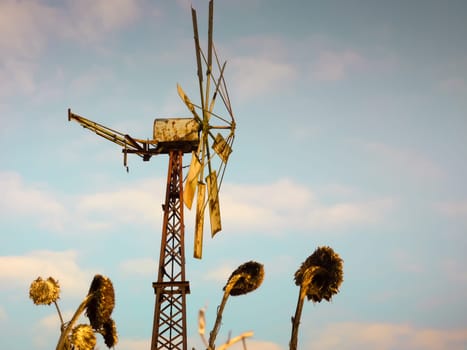 Windmill