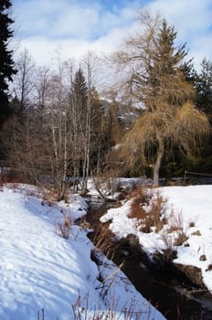 Snow covered Stream