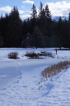 Frozen Lake