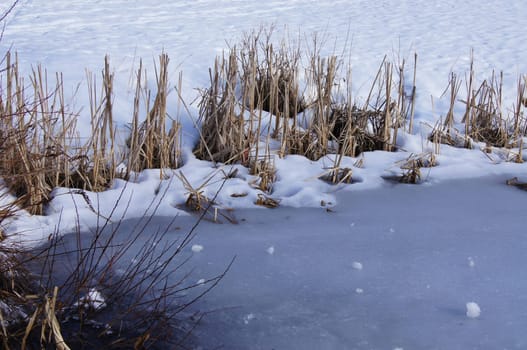 Frozen Lake