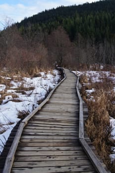 Wooden Walkway