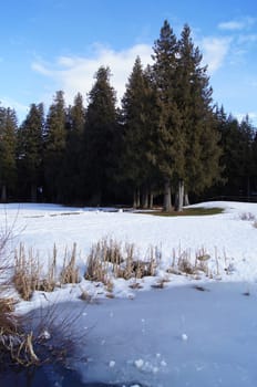 Frozen Lake