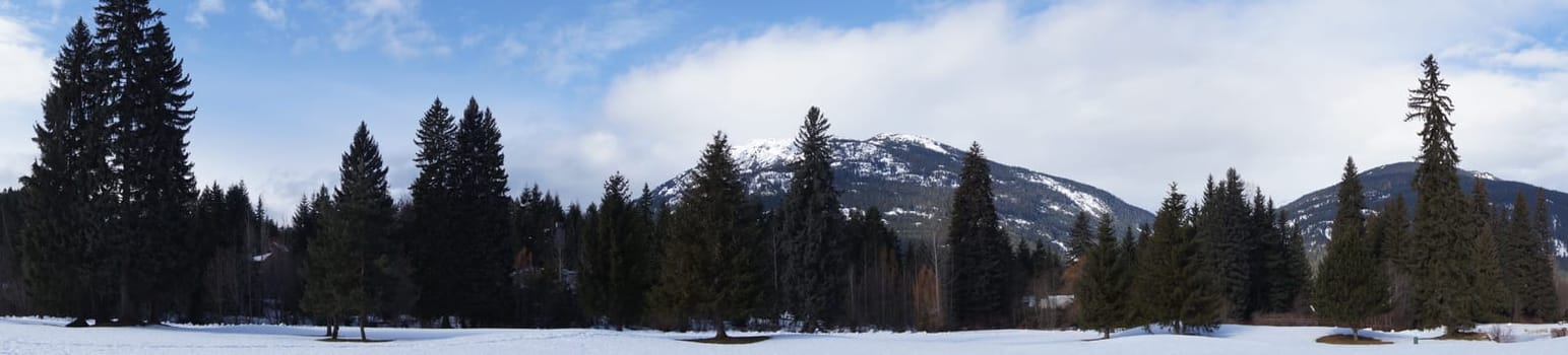 Panoramic Mountain View