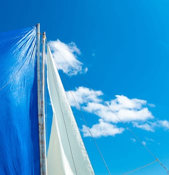 white sail against a tropical background