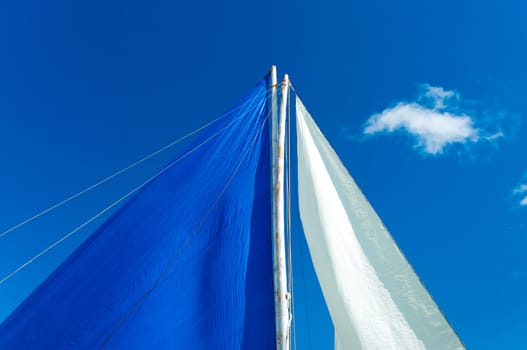 white sail against a tropical background