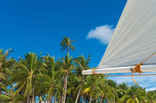 white sail against a tropical background