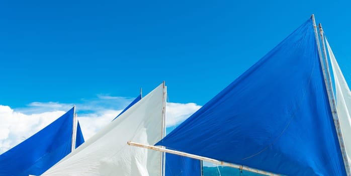 white sail against a tropical background