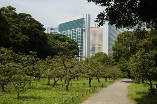 Park in Tokyo
