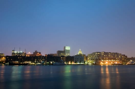 Savannah at Night