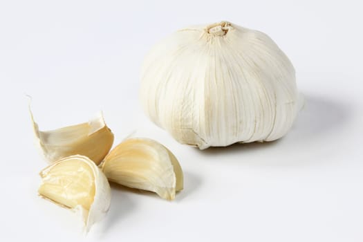 Garlic