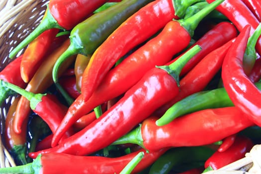 red and green peppers red and green chillies