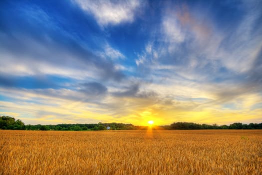 Scenic country landscape with wheat field at sunset. HDR image