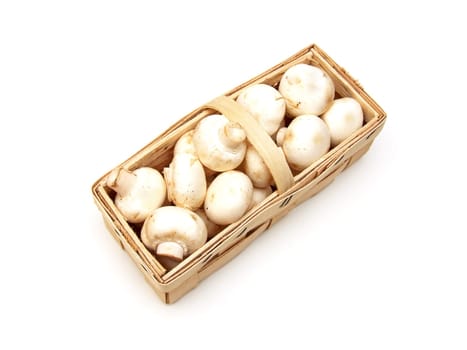 Mushrooms (Agaricus bisporus)
