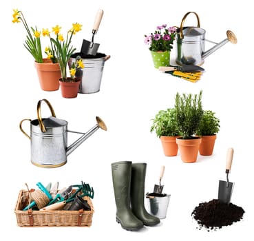 Gardening tools and flowers isolated on white