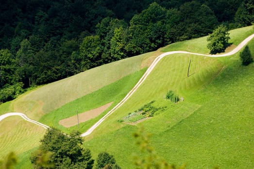 steep country road on country side in Slovenia