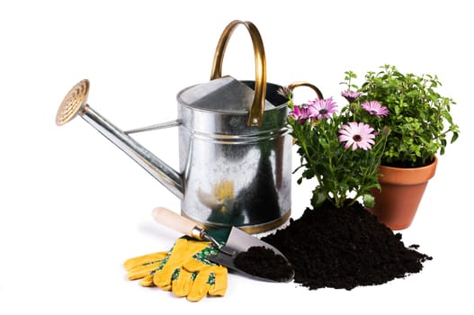 Watering can with flower and gardening tools isolated