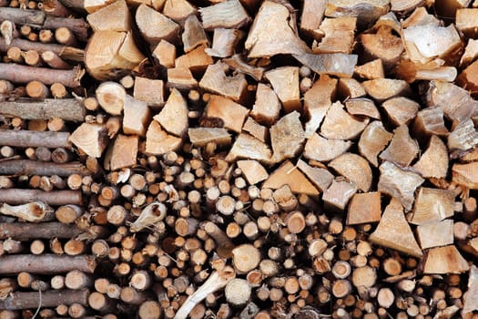 A pile of firewood