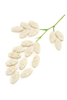 Plant made up of pills - alternative medicine concept