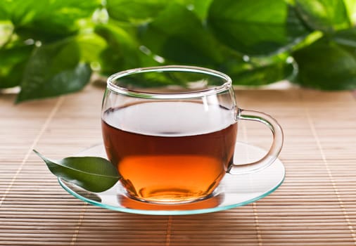 Hot cup of tea close up shoot