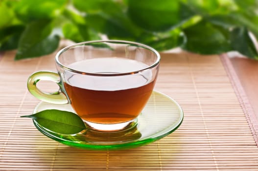 Hot cup of tea close up shoot
