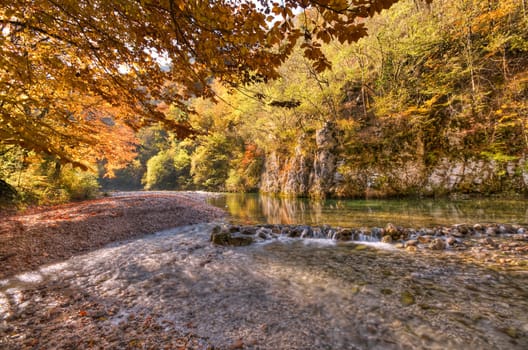 Beautiful colorful backlight river landscape in autumn