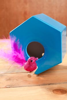 bird in blue nest house polygonal shape over wood