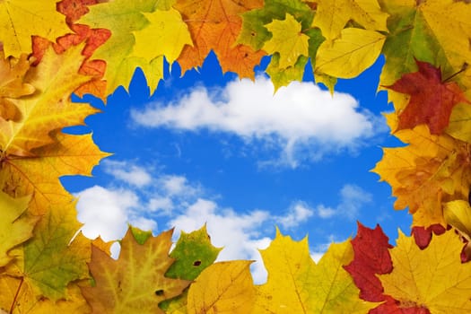 colorful autumn leaves against blue sky background