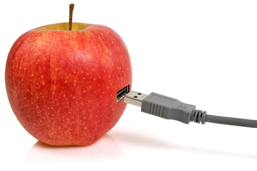 Science and nature symbiosis concept. apple and USB plug