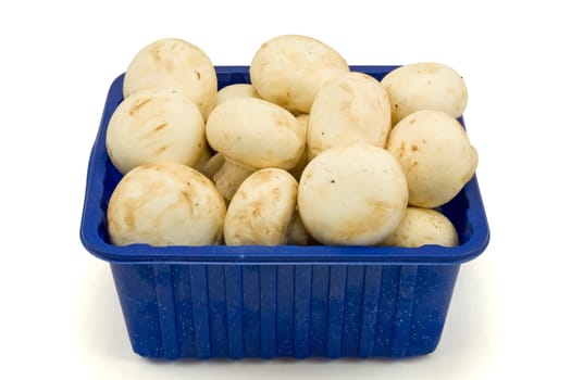 Fresh field mushrooms in a basket on white