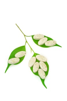 Natural supplement pills and fresh leaves - alternative medicine concept