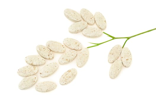 Plant made up of pills - alternative medicine concept