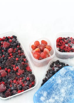 Plastic containers of frozen mixed berries in snow - red currant, cranberry, raspberry, blackberry, bilberry, blueberry, black currant, strawberry