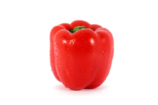 Single fresh red ripe pepper, isolated on white