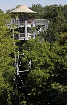 Treetop Walk in Hainich National Park