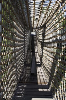 Treetop Walk in Hainich National Park
