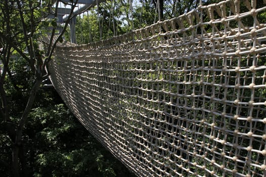 Treetop Walk in Hainich National Park