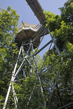 Treetop Walk in Hainich National Park